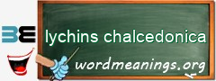 WordMeaning blackboard for lychins chalcedonica